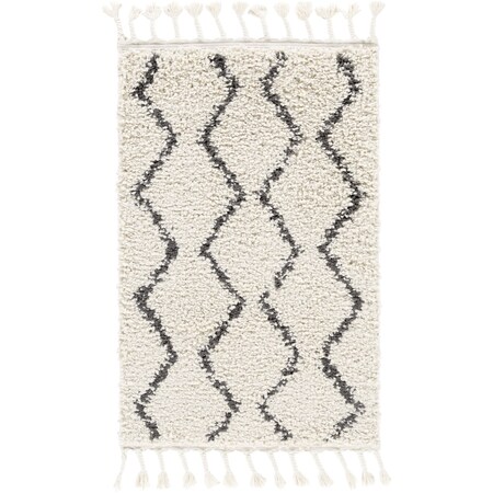 Livabliss Berber Shag BBE-2303 Area Rug , With Fringe BBE2303-23